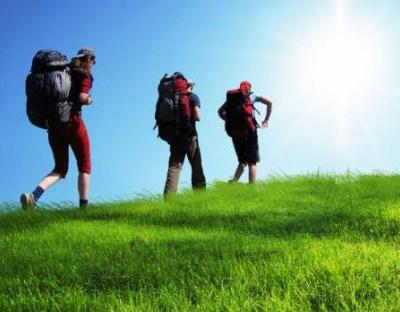 Майже 14 млн грн туристичного збору юридичні особи Львівщини  сплатили до місцевих бюджетів