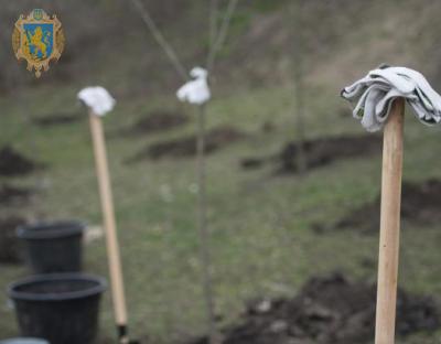 До Дня довкілля на Львівщині проведуть загальнообласну толоку