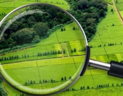 6 серпня  відбудеться земельний аукціон з продажу прав оренди земельних ділянок