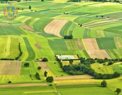 На аукціон з продажу права оренди виставлять 11 земельних ділянок державної власності