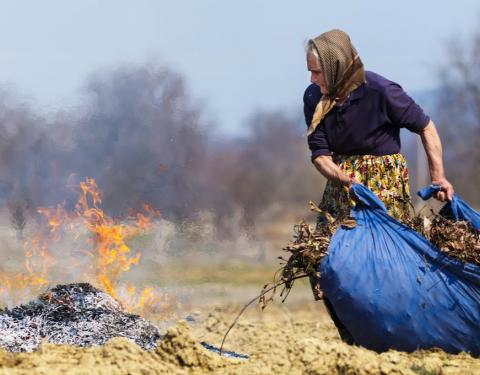 В умовах війни відповідальність за спалення сухостою може прирівнюватись до диверсійної діяльності