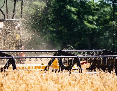 Аграрії Львівщини об’єднались, аби забезпечити продуктами харчування військових та переселенців