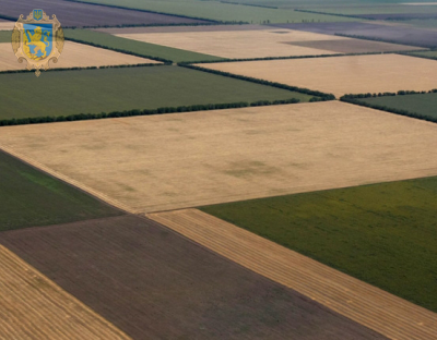 Електронні земельні торги з продажу права оренди земельних ділянок сільськогосподарського призначення відбудуться  8 лютого