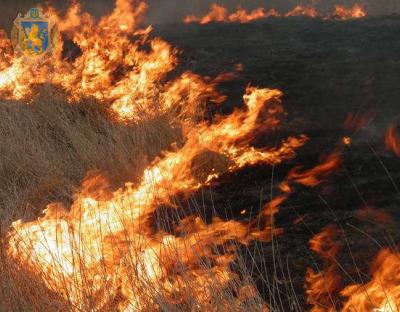 Екологи закликають мешканців Львівщини не спалювати суху траву