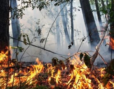 До уваги мешканців: на Львівщині висока пожежна небезпека