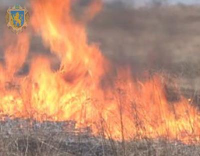 Екологи закликають мешканців Львівщини не спалювати суху траву