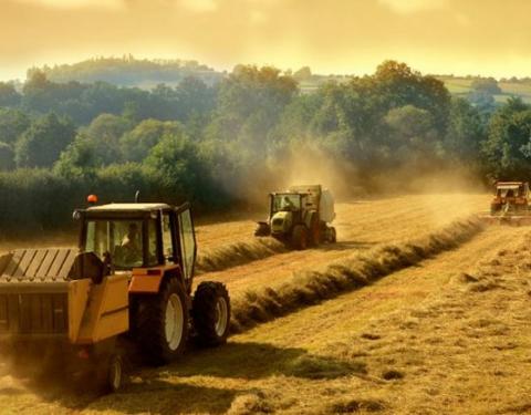 Оголошено конкурсний відбір учасників Комплексної програми підтримки та розвитку сільського господарства