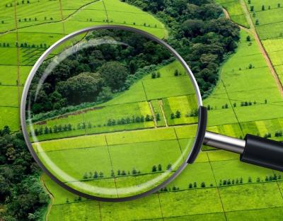 До уваги аграріїв: 11 січня відбудуться земельні електронні аукціони 