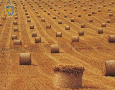 Керівники аграрних підприємств області взяли участь у конференції «Bio Energy Day Львів»