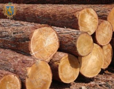 Торік на Львівщині зросли обсяги заготівлі деревини 