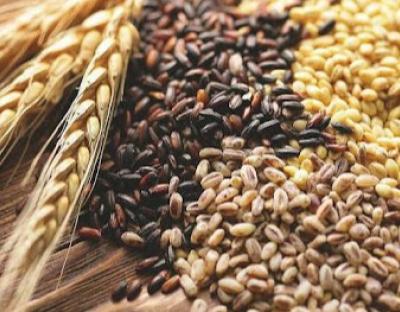 Сільськогосподарське виробництво в області зросло на понад 9%