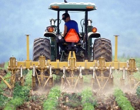 Фермерство як бізнес: історії успіху ветеранів АТО/ООС