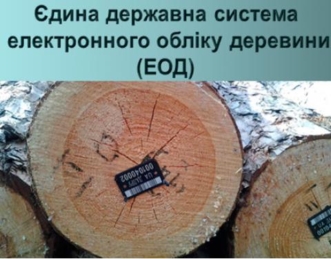 Державні лісогосподарські підприємства заготовили більше половини необхідної деревини