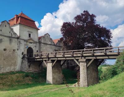 Замок із фільмів, модерні скульптури і «моря» квітів: Бібреччина запрошує туристів