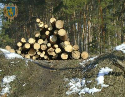 На Львівщині перевірили понад 100 лісопильних об’єктів 