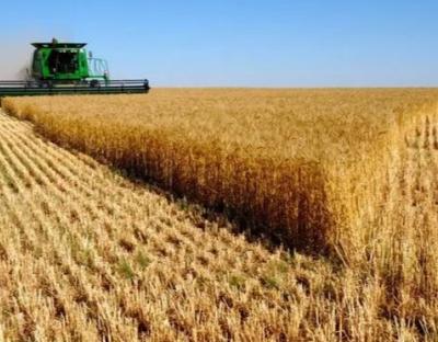 Господарства області завершують збір пізніх сільськогосподарських культур