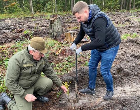 Вісім з половиною гектарів нових дерев висадили на Жовківщині