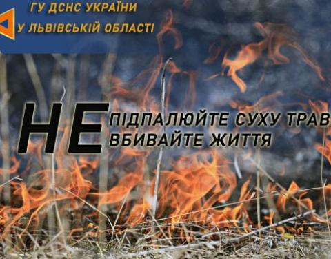 ДСНС інформує: за минулу добу в області вогонь знищив понад 1 га сухої трави