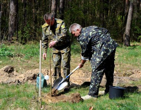 На Львівщині висадили найдовшу в Україні липову алею 