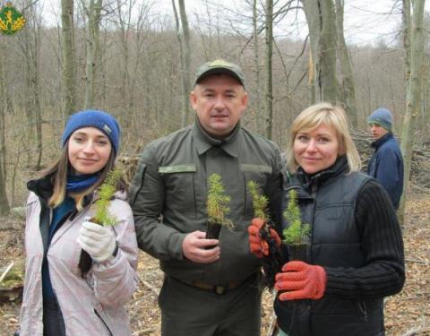 На Львівщині триває акція «Майбутнє лісу у твоїх руках»