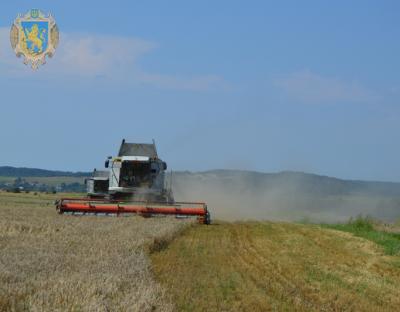 Жнивна кампанія в розпалі: господарства Львівщини вже зібрали 80% ранніх культур