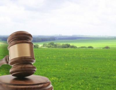 До уваги аграріїв: 9 серпня відбудеться аукціон з продажу прав оренди земельних ділянок