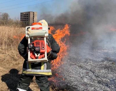 Припиніть спопеляти Львівщину: за добу рятувальники погасили 87 пожеж сухостою (фото)