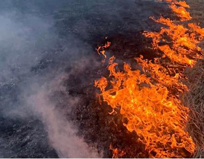 Лише за добу в області рятувальники ліквідували більше десятка пожеж сухостою