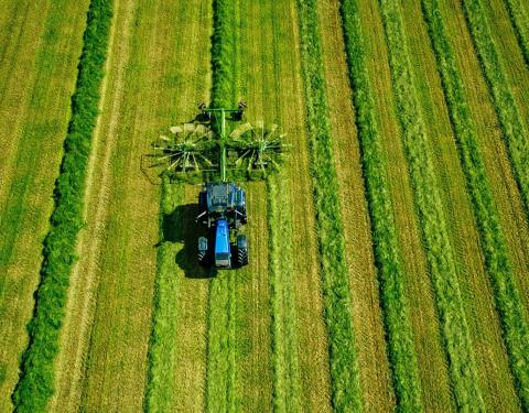 Обсяг сільськогосподарського виробництва на Львівщині зріс на 5,5%