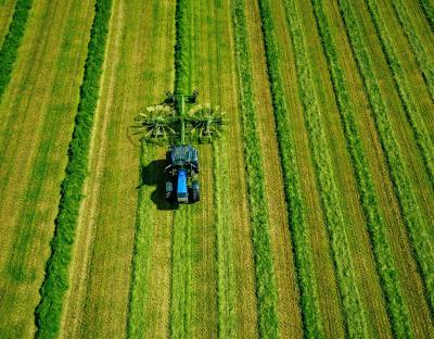 До уваги аграріїв: земельний аукціон з продажу права оренди відбудеться 30 вересня