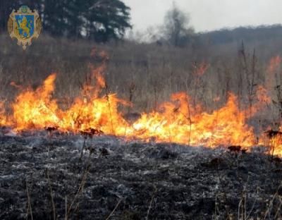 Мінприроди пропонує підвищити штрафи за випалювання рослинності