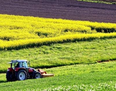 До уваги аграріїв: запрошуємо взяти участь в земельному аукціоні з продажу прав оренди