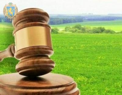 Понад дві сотні сільськогосподарських ділянок цьогоріч реалізували на земельних торгах 