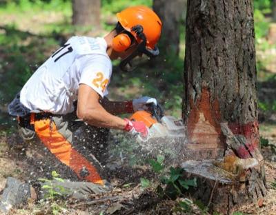 На Львівщині відбулись змагання вальників лісу