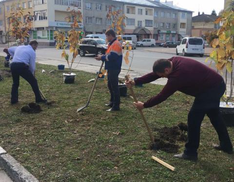 У Миколаєві висадили магнолію в межах акції «Посади дерево миру»