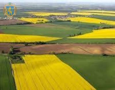 Міністерство аграрної політики та продовольства України розробило проект порядку інвентаризації земель сільгосппризначення