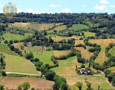 Більше 700 тисяч гривень щорічно отримуватимуть місцеві ради Львівщини за оренду земель 