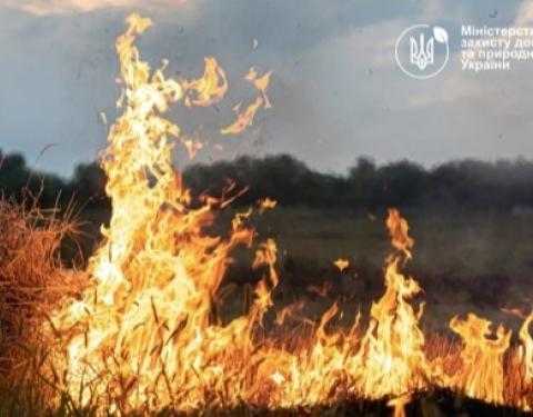 В Україні набув чинності Порядок випалювання сухої рослинності або її залишків