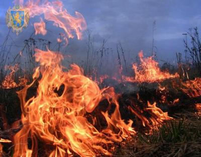 Мешканців області закликають не спричиняти пожеж в екосистемах