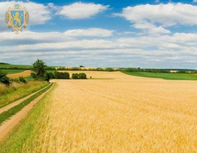На Львівщині продали права оренди на 7 земельних ділянок сільгосппризначення державної власності