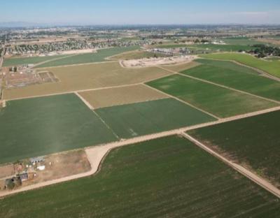 Аграріїв запрошують взяти участь у земельному аукціоні 9 вересня