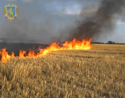 Мешканців Львівщини закликають не спалювати суху траву