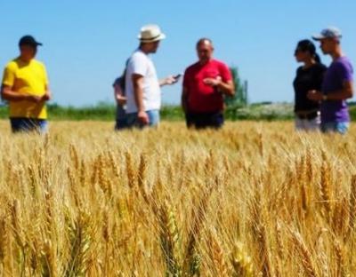 До уваги ЗМІ, аграріїв, районних військових адміністрацій: спростування щодо законопроєкту № 7178