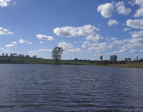 На Львівщині здали в оренду ставок за рекордну вартість