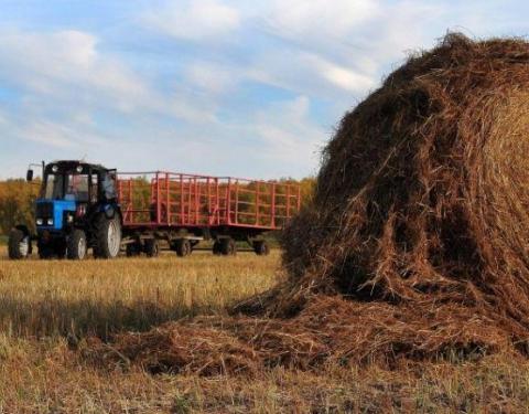 “Сільськогосподарська кооперація – пріоритет для громади, вигода для селян”, - Людмила Гончаренко