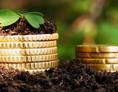 20 вересня у Городку проведуть земельний аукціон