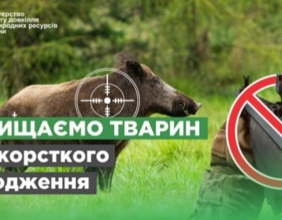 Ні жорсткому поводженню з тваринами: нардепи підтримали законопроєкт у сфері охорони тваринного світу