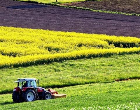 До уваги аграріїв: запрошуємо взяти участь в земельному аукціоні з продажу прав оренди