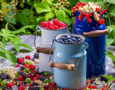На Комплексну програму підтримки та розвитку агропромислового виробництва залучили майже 20 мільйонів гривень