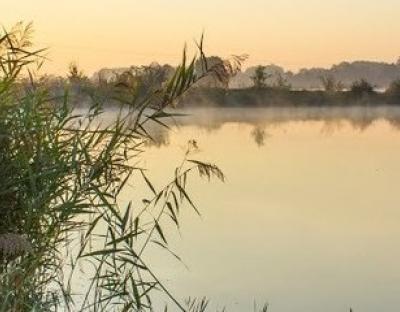 Чотири водних о'бєкти області передали в оренду